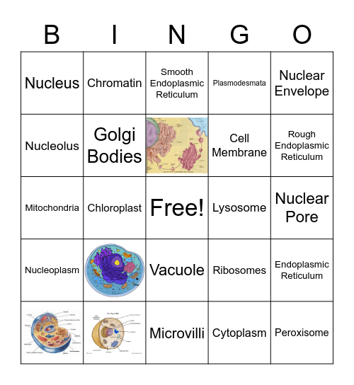 Deante Simon Bingo Card