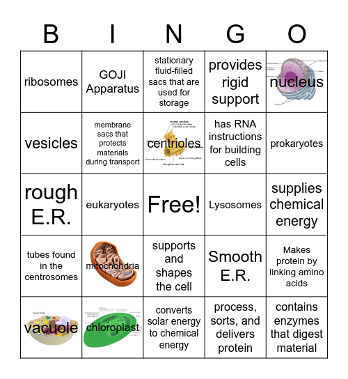 Cordell Abraham- Organelles Bingo Card