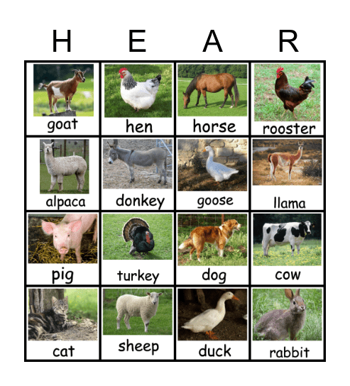 Farm Animal Sounds Bingo Card
