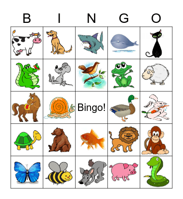 Animals Bingo Card