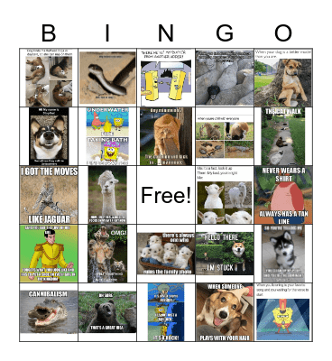 Meme Time! Bingo Card