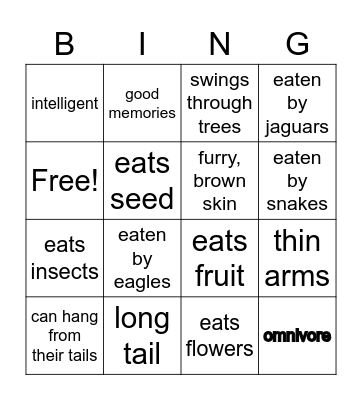 Spider Monkey Facts Bingo Card