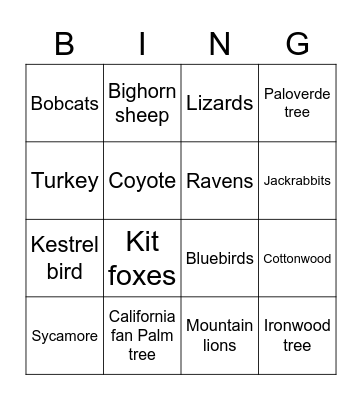 Nature walk bingo Card