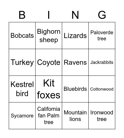 Nature walk bingo Card