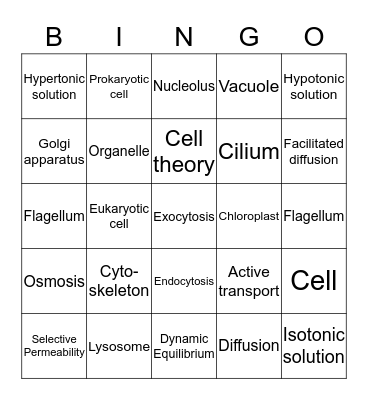 Biology Chapter 7 Bingo Card