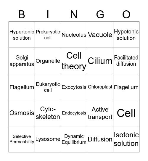Biology Chapter 7 Bingo Card