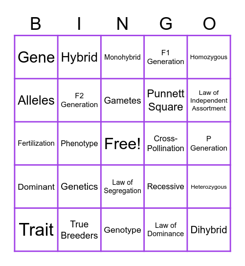 Genetics ! Bingo Card