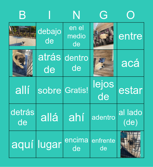 Preposiciones de Lugar Bingo Card