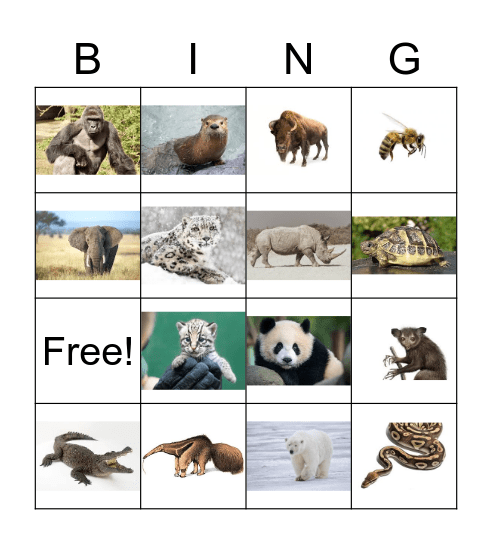 Les animaux en danger Bingo Card