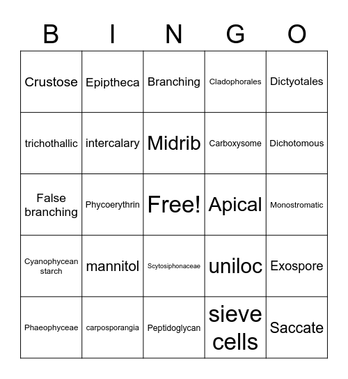 Phycology Lab Review Bingo Card