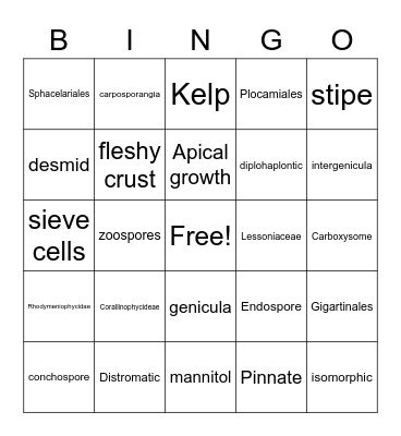 Phycology Review 1 Bingo Card