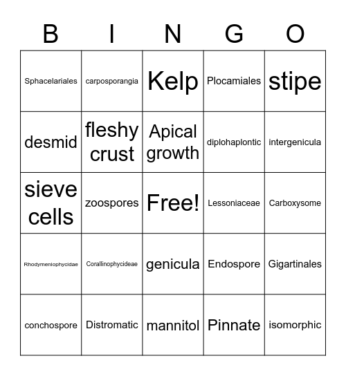 Phycology Review 1 Bingo Card