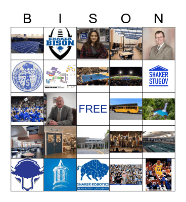 BISON Bingo Card