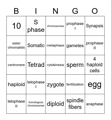 CELL DIVISION Bingo Card