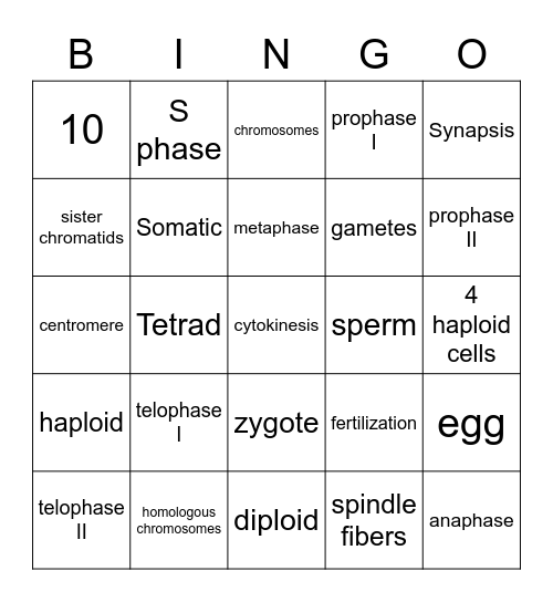 CELL DIVISION Bingo Card