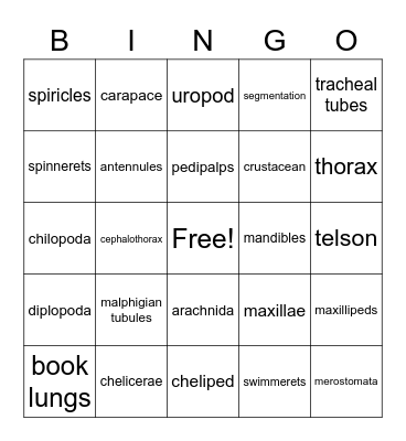 Arthropoda Vocabulary Bingo Card