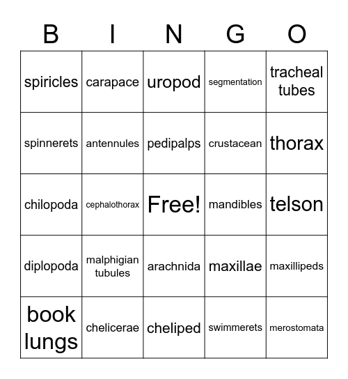 Arthropoda Vocabulary Bingo Card