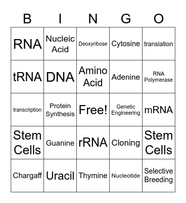 Chapter 7/8 Bingo Card