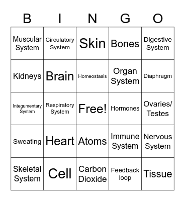 Body Systems Bingo Card