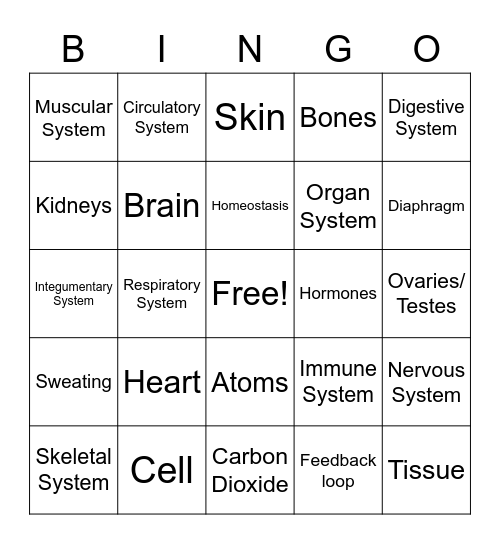 Body Systems Bingo Card