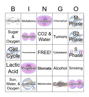 Chapter 2 - Cell Processes Bingo Card