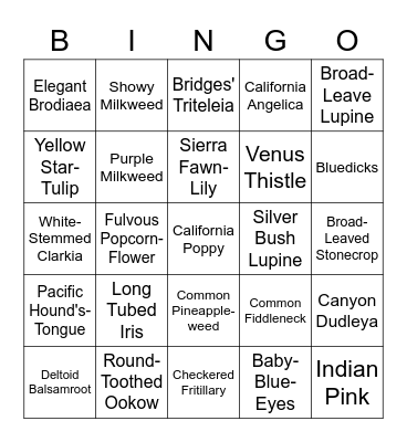 BCCER Wildflower Bingo Card