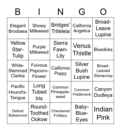 BCCER Wildflower Bingo Card