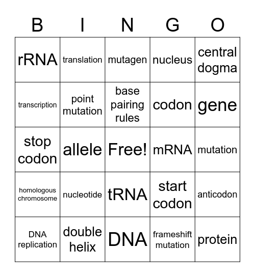 Molecular Genetics Bingo Card