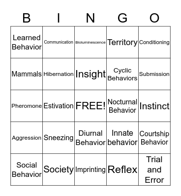 Animal Behavior Bingo Card