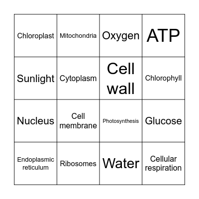 LEAP Biology Mid Prep Review Bingo Card