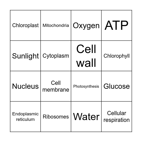 LEAP Biology Mid Prep Review Bingo Card