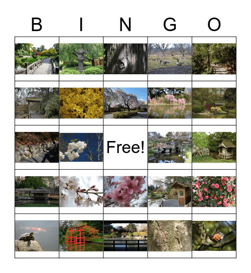 Japanese Hill-and-Pond Garden Bingo Card