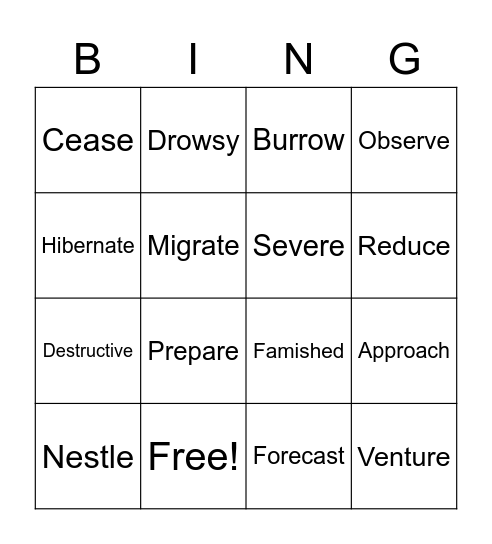 Lesson 3 Word List Bingo Card