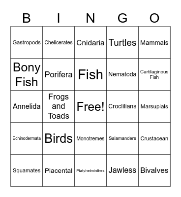 Animal Phyla Bingo Card