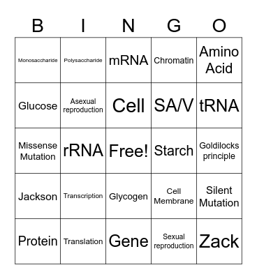 Biology Review (W) Bingo Card