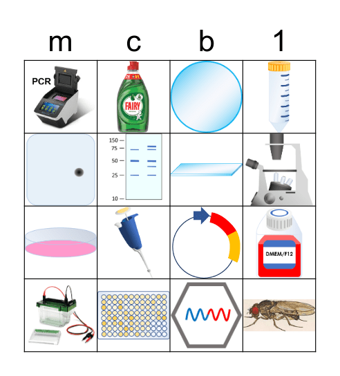 Cell Biology Bingo Card