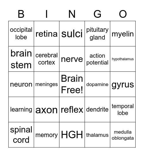 CNS Bingo Card