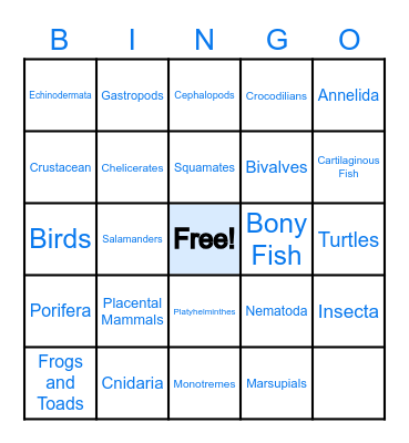 ANIMAL PHYLUM BINGO Card