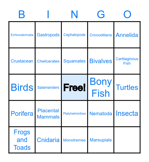 ANIMAL PHYLUM BINGO Card