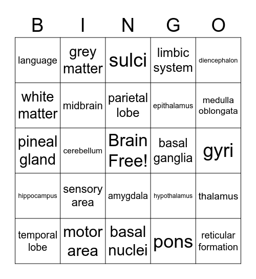 CNS Bingo Card