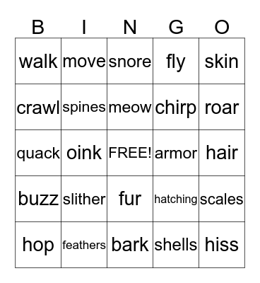 Animal Descriptive Words Bingo Card