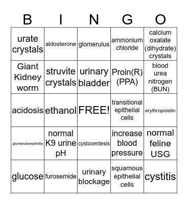 Urinary System Bingo Card