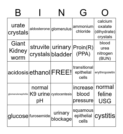 Urinary System Bingo Card