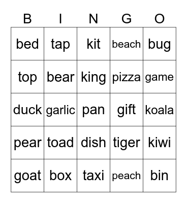 phonics d t b p g k Bingo Card