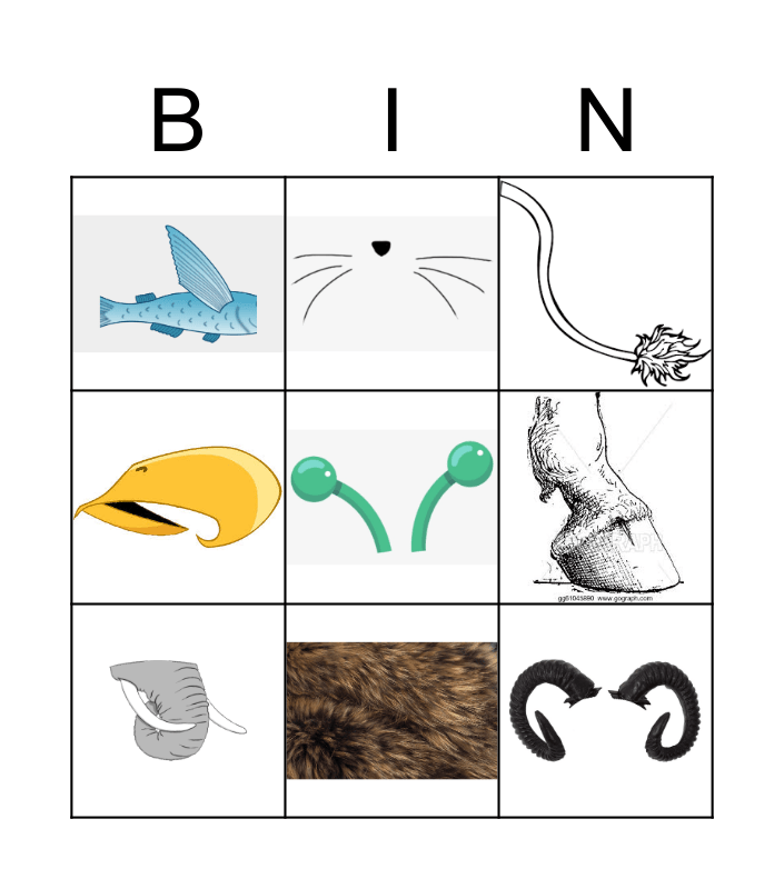 animal body parts bingo card