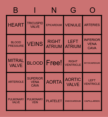 PARTS OF THE HEART Bingo Card