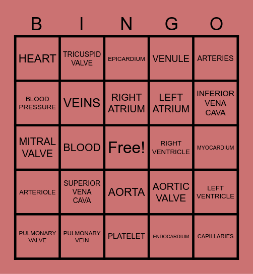 PARTS OF THE HEART Bingo Card
