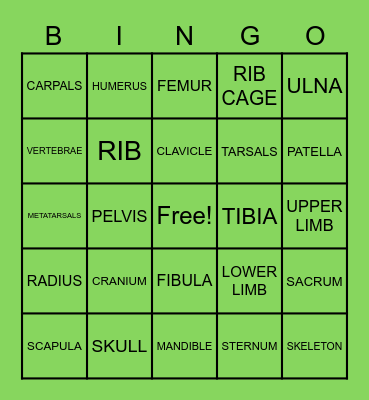 SKELETAL SYSTEM Bingo Card