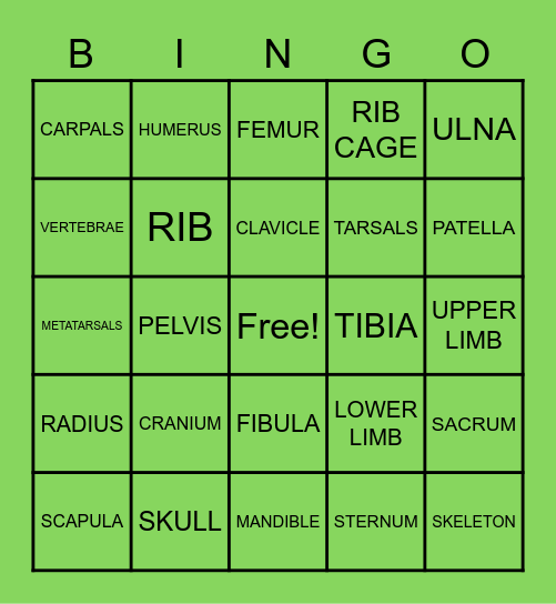 SKELETAL SYSTEM Bingo Card