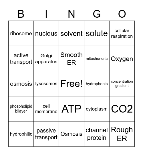 osmosis/ organelles Bingo Card